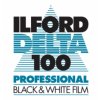 Ilford Delta 100 / Planfilm 4x5 / 25 Blatt