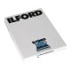Ilford Delta 100 / Planfilm 4x5" / 25 Blatt