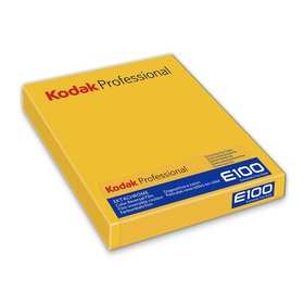Kodak Ektachrome E100 / 4x5 / 10 Blatt